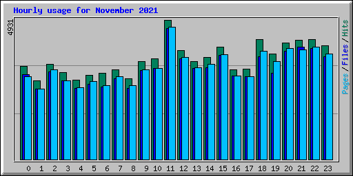 Hourly usage for November 2021